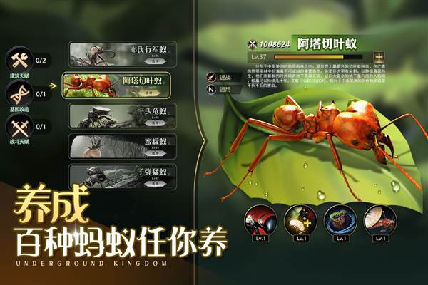 小小蚁国4399版 最新版v1.89.0